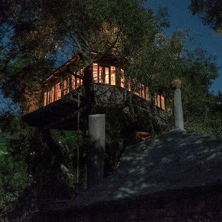 Margaritis'S Treehouse Villa Paramonas  Eksteriør bilde