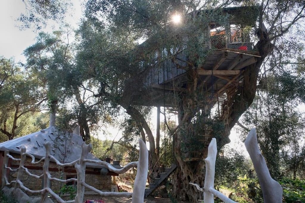 Margaritis'S Treehouse Villa Paramonas  Eksteriør bilde